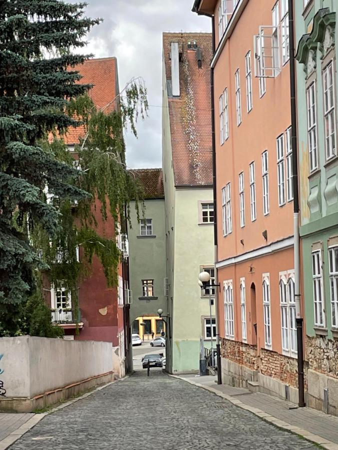 Charlie Lägenhet Cheb Exteriör bild